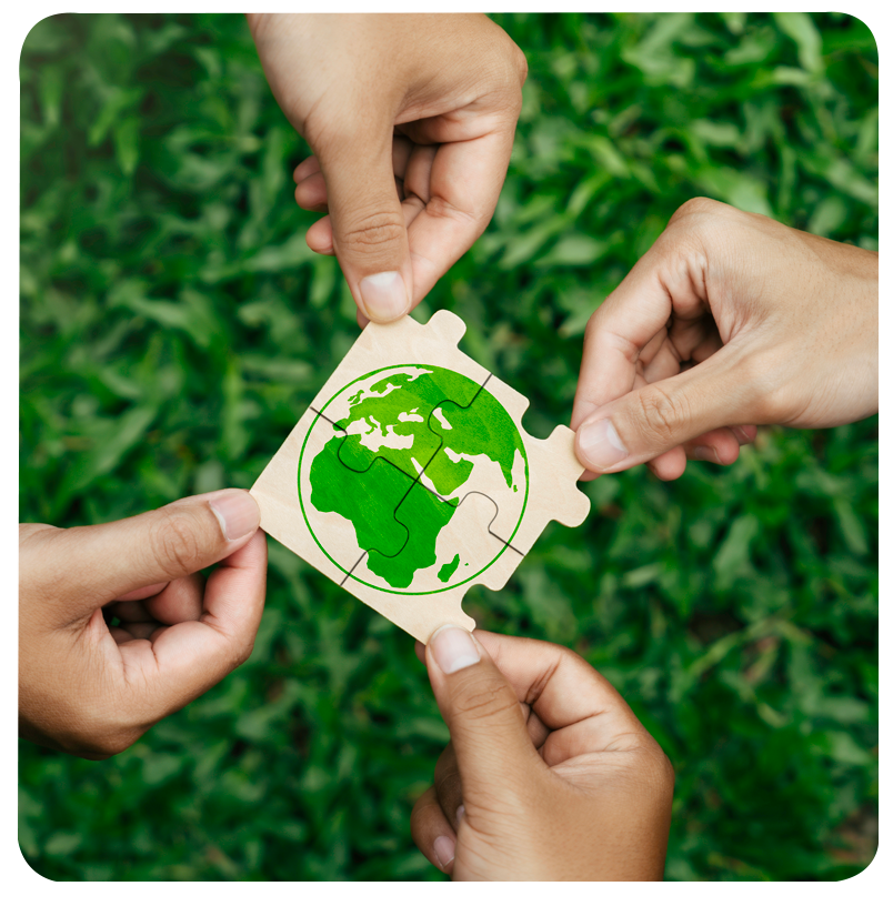 surdurulebilirlik-sample